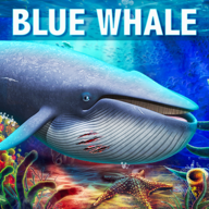 ģ(Blue Whale Simulator)°