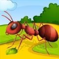 Ants Race(ֳ)׿°v0.8.46