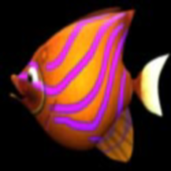 С̬(BigFishEatSmallFish)v1.0 ׿