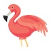 火烈鸟动画师(Flamingo Animator)去水印版