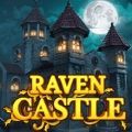 ѻǱ(Raven Castle)׿ֻv1.0.49