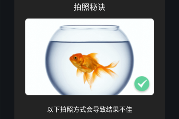 ʶ(Picture Fish)°