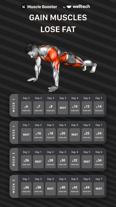 MuscleBoosterٷ°v3.16.0ͼ4