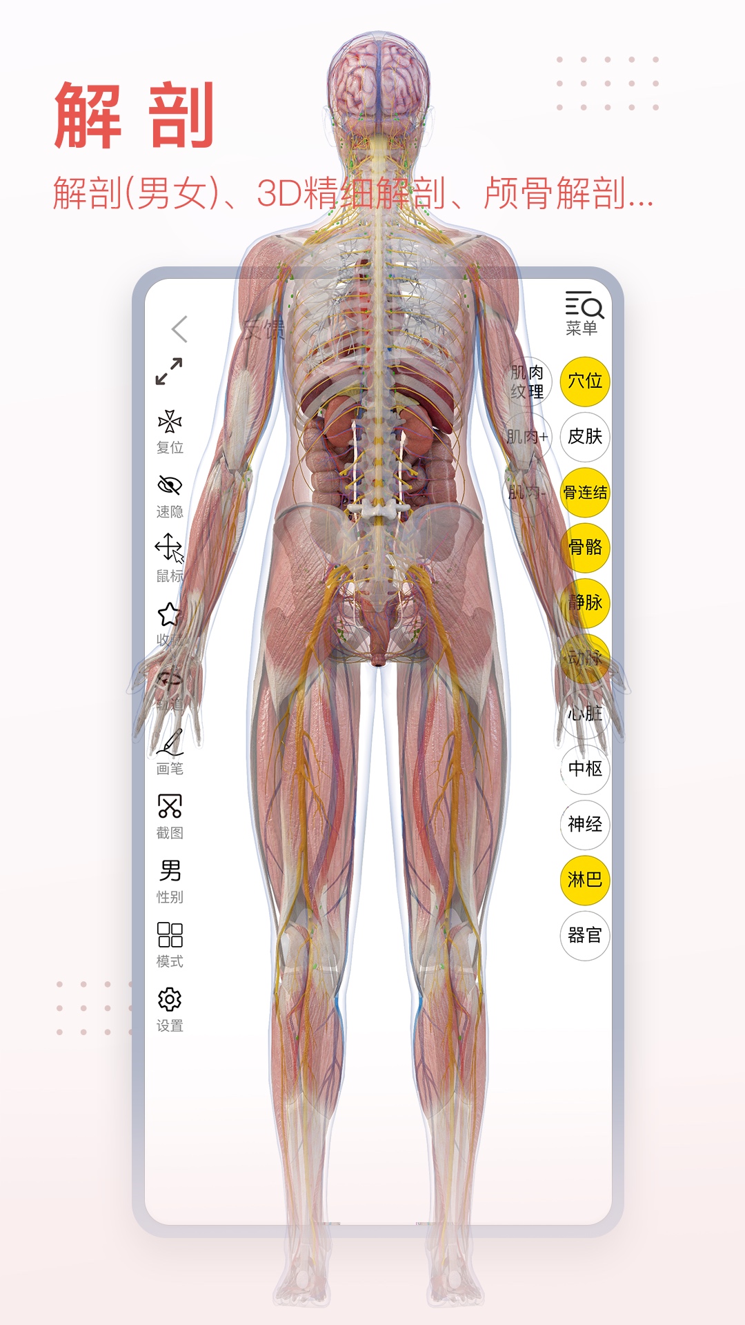 3dbodyֻv8.8.20ͼ1