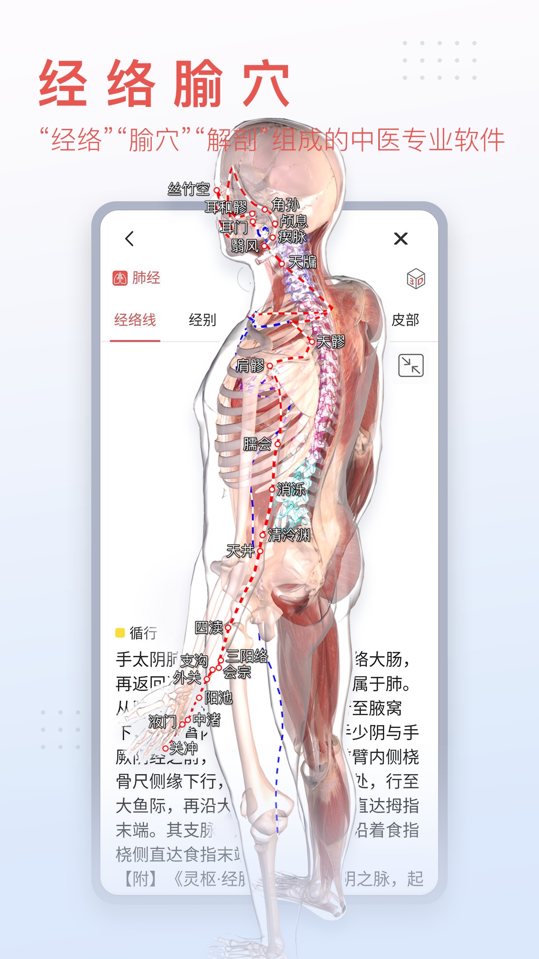 3dbodyֻv8.8.20ͼ3