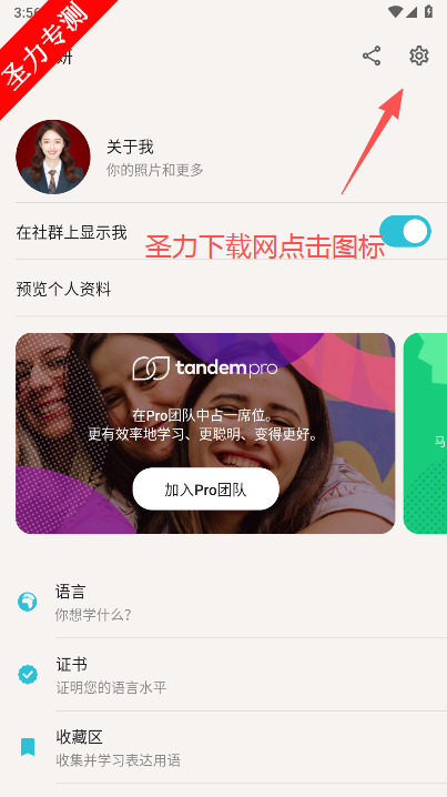 Tandemٷ
