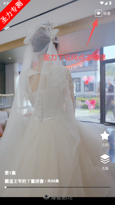 海看剧场软件官方最新版下载 海看剧场软件官方最新版下载