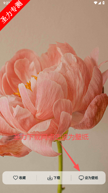 时刻壁纸软件最新版本下载 时刻壁纸软件最新版本下载