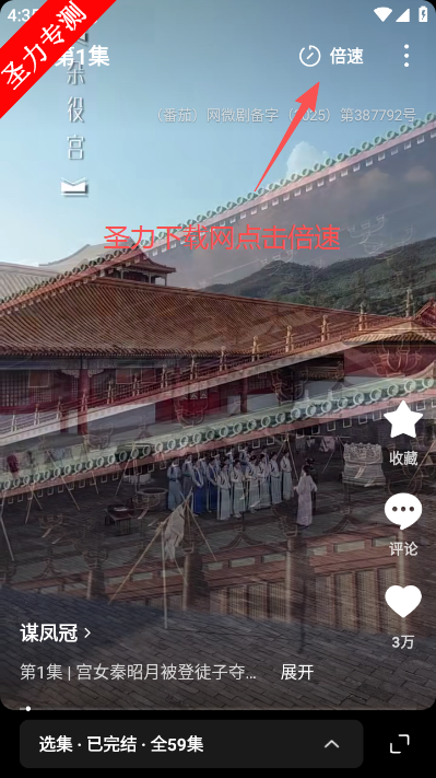 红果免费漫剧软件官方最新版下载 红果免费漫剧软件官方最新版下载