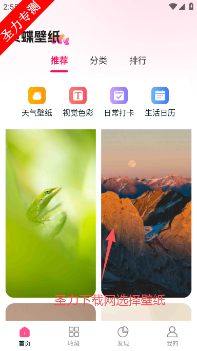 灵蝶壁纸最新版本下载 灵蝶壁纸最新版本下载