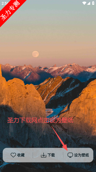 灵蝶壁纸最新版本下载 灵蝶壁纸最新版本下载