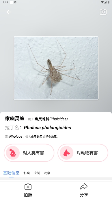 ʶ(Picture Insect)߼ʶذװ