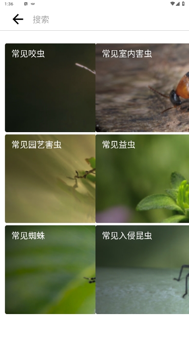 ʶ(Picture Insect)߼ʶذװ