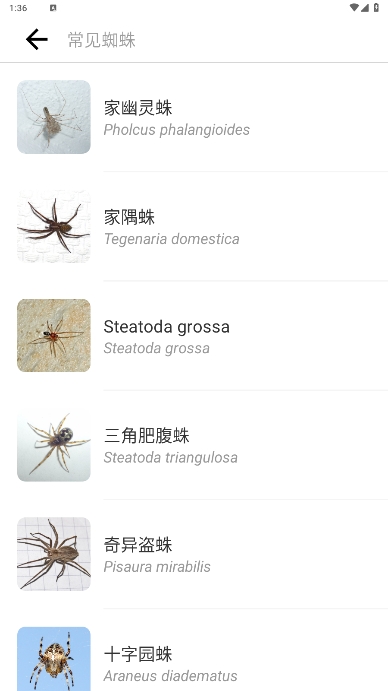 ʶ(Picture Insect)߼ʶذװ