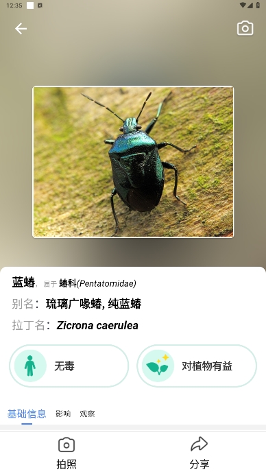 ʶ(Picture Insect)߼ʶذװ