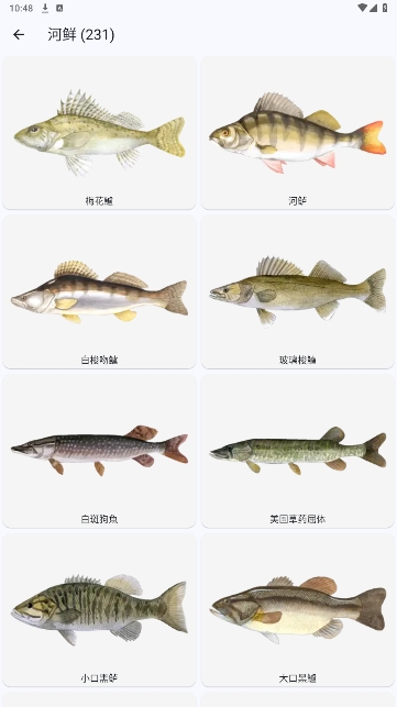 °汾ذװ