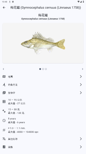 °汾ذװ