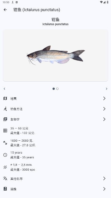 °汾ذװ