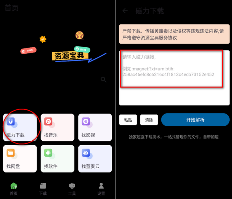 Դapp2025ƽ