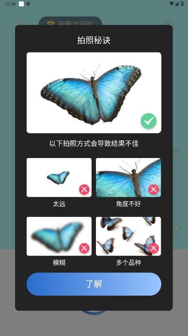 ʶ(Picture Insect)߼ʶذװv2.8.33ͼ3