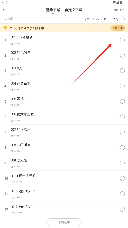 vipȨްv9.9.0ͼ4