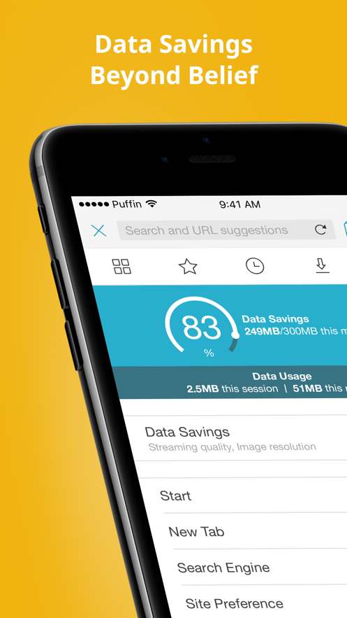 Puffin Web Browserٷv10.4.1.51678ͼ2