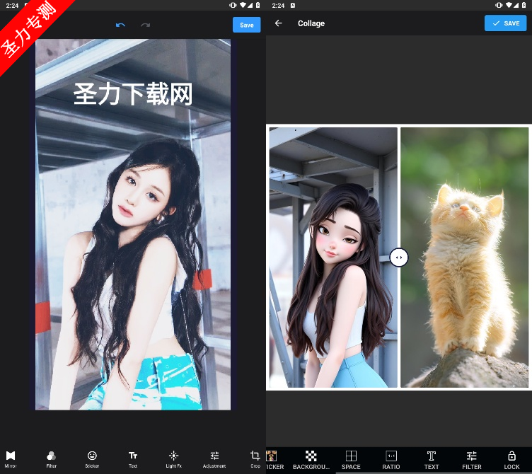 Mirror Collageٷ°