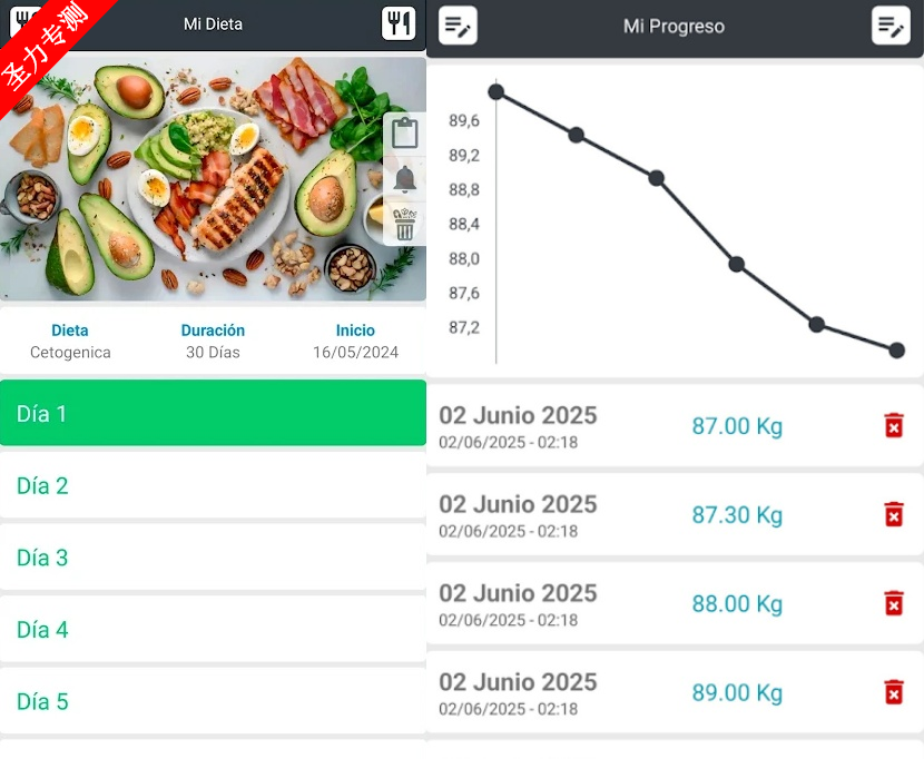Diet Plan߼