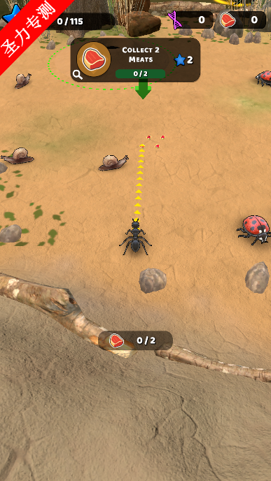 (Ant Kingdom)Ϸٷ