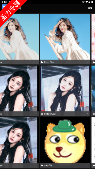 AI Photo߼