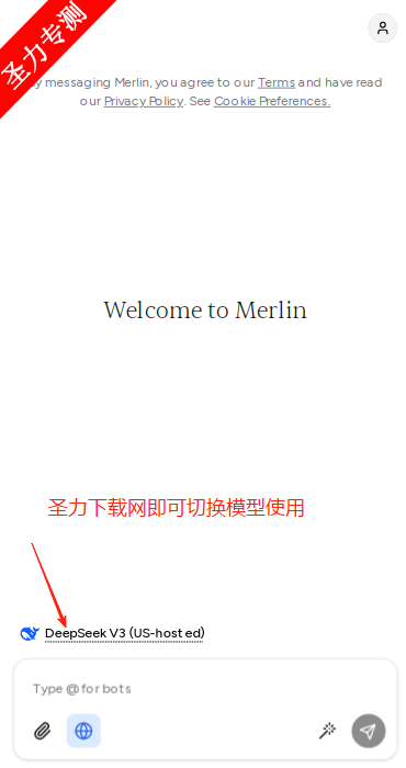 Merlin˹