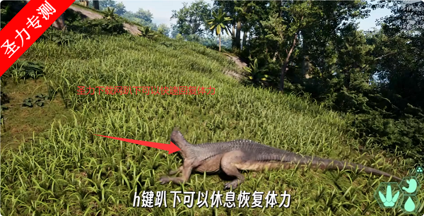 ͬѰ
