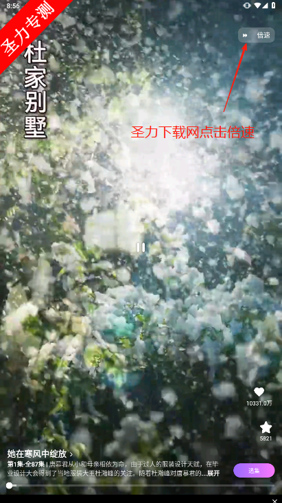ӣ糡ѹۿ