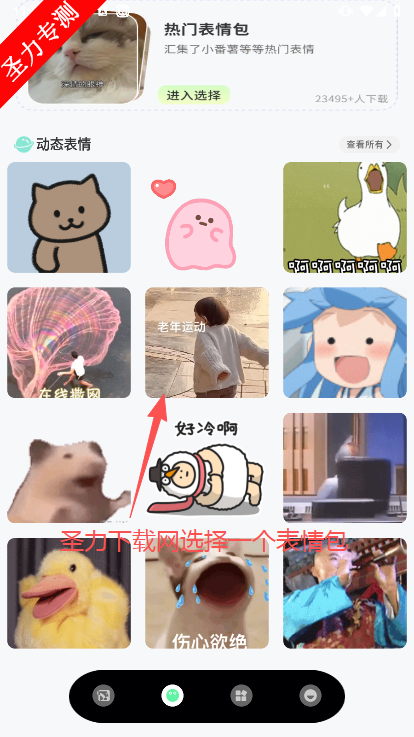 ֽins߼ʸ