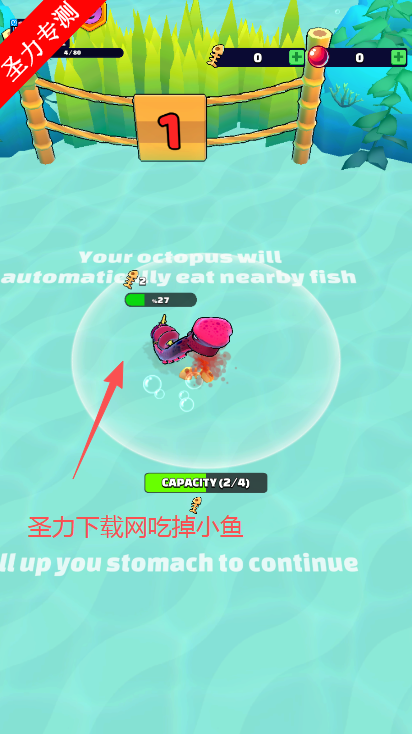 ʢ޽Ұ(Octopus Feast)