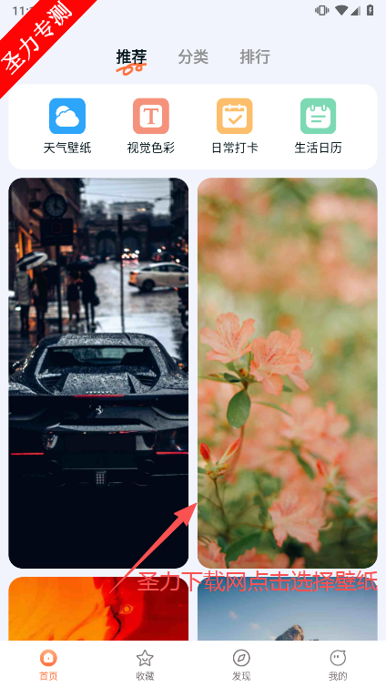 Ծֽ׿°