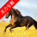 ĵapp°v1.9.6 Ѱ