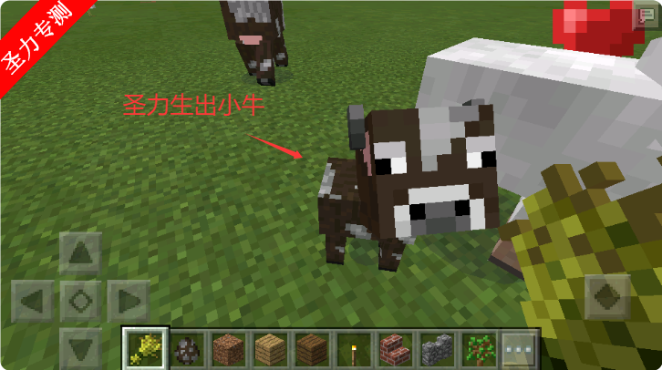 vivoҵ°ذװ(Minecraft)v0.15.8.0 ׿ͼ1