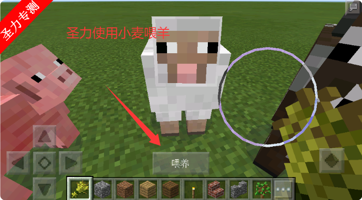vivoҵ°ذװ(Minecraft)v0.15.8.0 ׿ͼ2