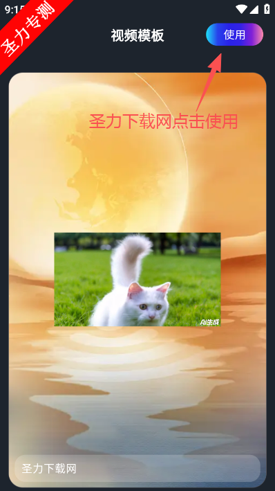 ��Ƶ������ȫ����������ذ�װ