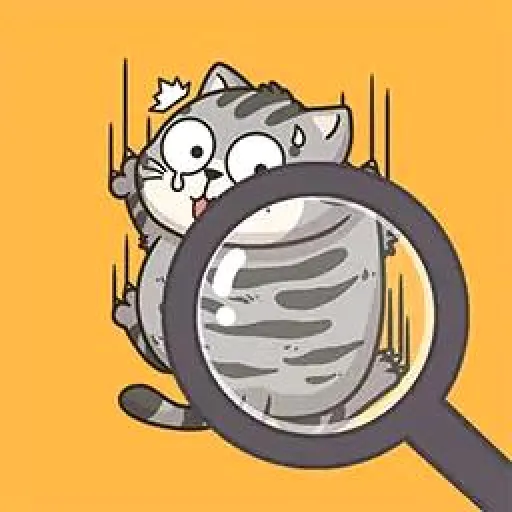 ����è���¹�2026�ٷ����°汾