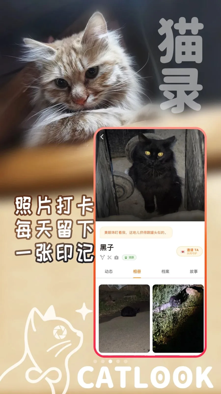 猫录(流浪猫守护工具) 猫录(流浪猫守护工具)