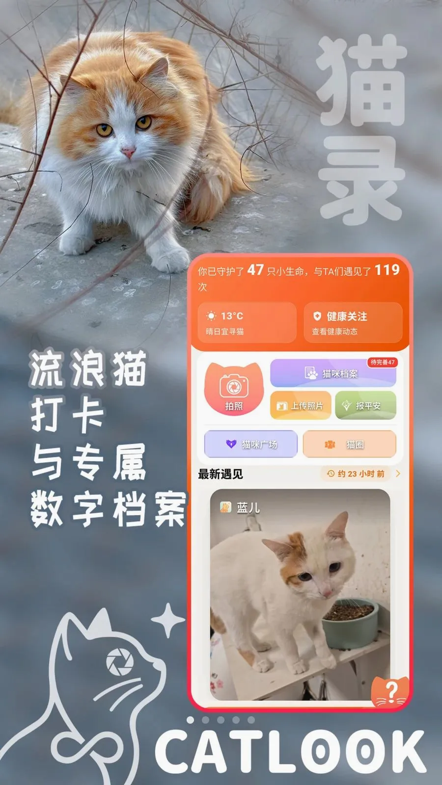 猫录(流浪猫守护工具)v1.1.7 安卓版截图1