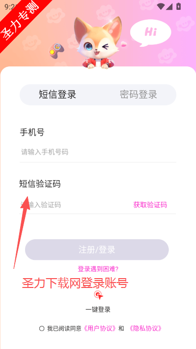 �����罻��������