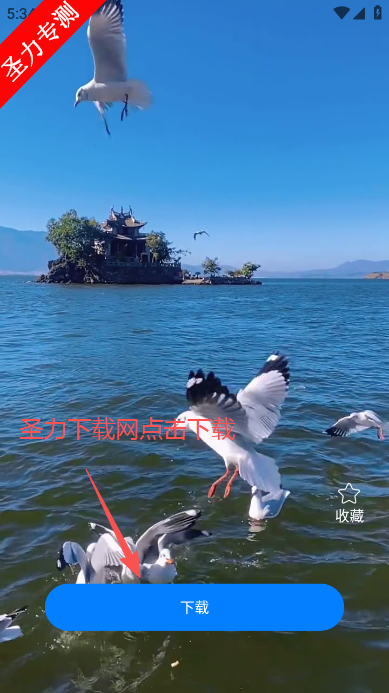 ��̬��ѱ�ֽ�����ֽ��Ѱ�����