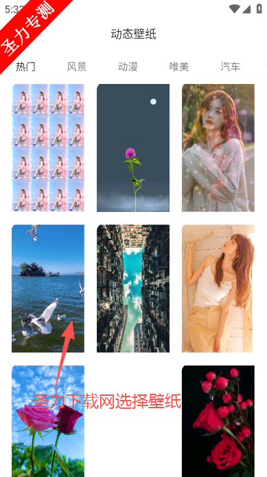 ��̬��ѱ�ֽ�����ֽ��Ѱ�����