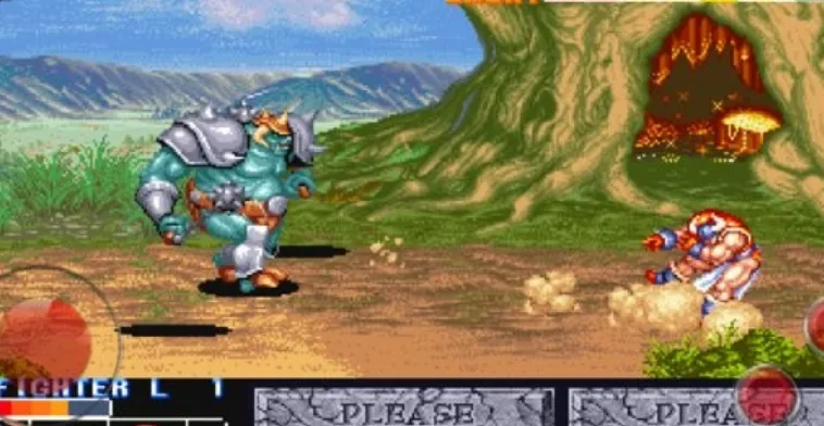 ����սʿ(����RPG��Ϸ)