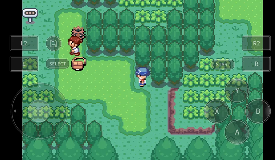 �ڴ������������2026�ٷ����°汾