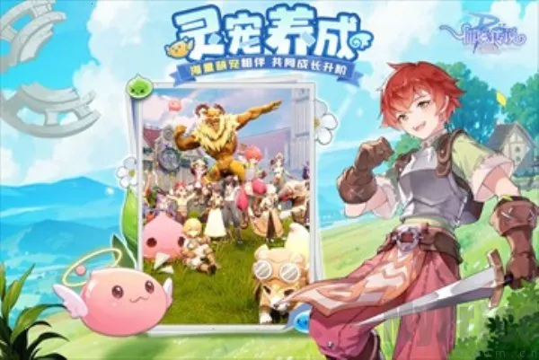 �ɾ���˵ro����(ro�����Ż�����)