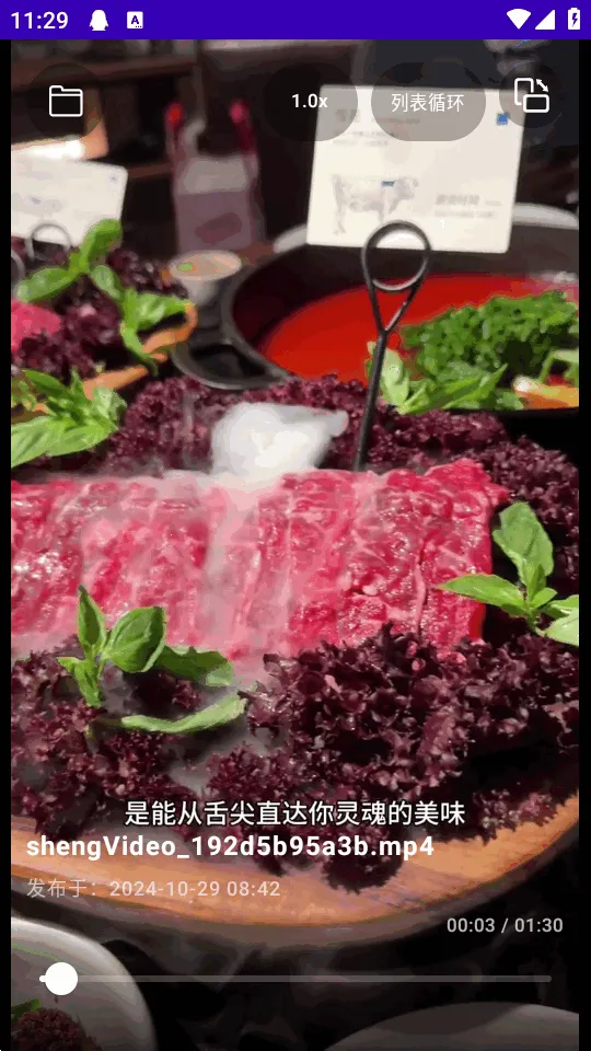 TikAlbum(�ļ�������)v1.0.0 �ֻ����ͼ2